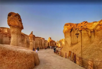 Al Ahsa'a Tour